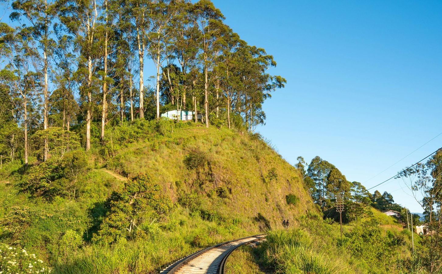 Sri Lanka landscape