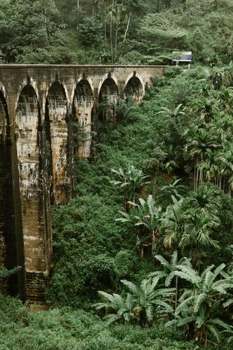 Bridge in Sri Lanka jungle
